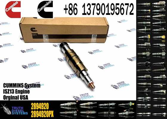 DSGENUINE 5579415 5579417 2894920 2872405 ISX15 CRI D10 ISX XPI diesel Engine Fuel Injector 5579415 5579417 2894920 2872405