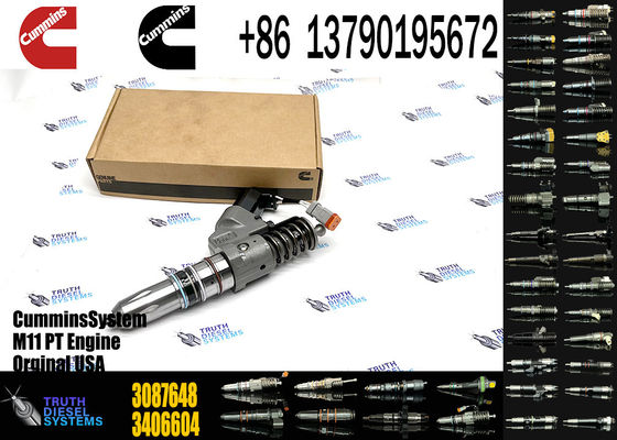 Common Rail Fuel Injector Diesel Injector 3095086 3609796 3087788 3411763