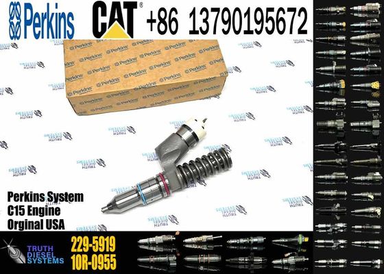 Excavator Parts 229-5919 Fuel Injector 229-5919 10R-1000 10R-1000 for CAT C18 C15 C12 C13 3406E Series