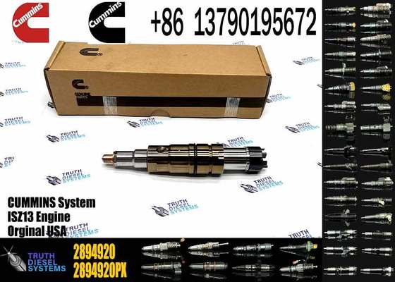 DSGENUINE 5579415 5579417 2894920 2872405 ISX15 CRI D10 ISX XPI diesel Engine Fuel Injector 5579415 5579417 2894920 2872405