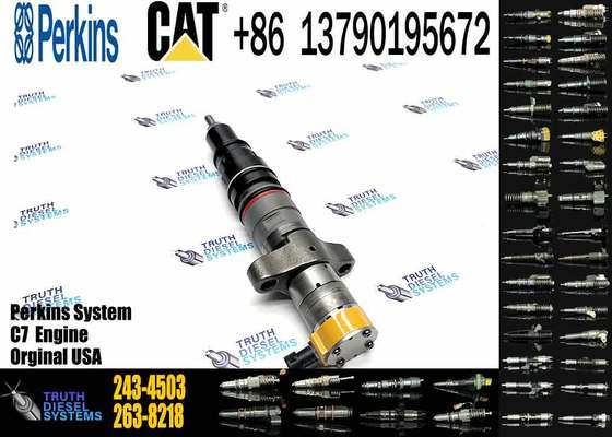 Diesel Engine C7 C9 Fuel Injector 243-4503 2434503 295-1409 2951409