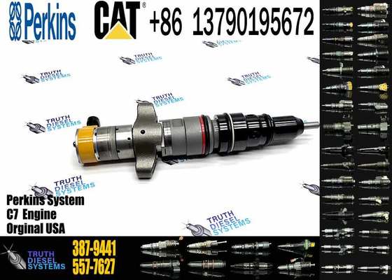 OE Quality diesel Fuel Common Rail Injector 387-9441 3879441 for CAT C7 Engine
