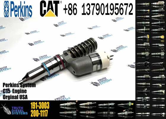 Hot Sale 191-3003 Common Rail Injector C15 Carter1 diesel Injector for Fuel Injection Pump CAT diesel Engine