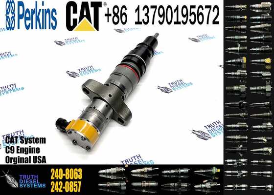 Excavator Accessories Fuel Injector 225-0117 236-0957 238-8092 240-8063 242-0857 245-3516 for CAT C9 Construction Machinery
