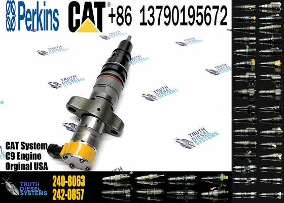 Excavator Accessories Fuel Injector 225-0117 236-0957 238-8092 240-8063 242-0857 245-3516 for CAT C9 Construction Machinery