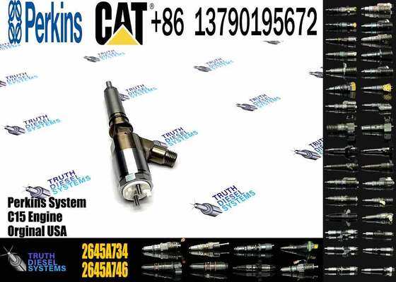 New Quality Common Rail Fuel Injector 306-9380 2645A734 Engine Fuel Injector for Engine C6.6 924HZ Inyector Injecteur