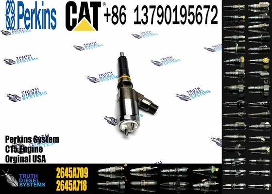 Common Rail Diesel Fuel Injectors 2645A709 2645A743 2645A745 2645A746 2645A747 for CAT C6.6 Engine 323D Excavator