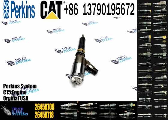 Common Rail Diesel Fuel Injectors 2645A709 2645A743 2645A745 2645A746 2645A747 for CAT C6.6 Engine 323D Excavator