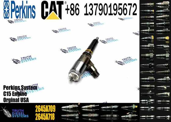 Common Rail Diesel Fuel Injectors 2645A709 2645A743 2645A745 2645A746 2645A747 for CAT C6.6 Engine 323D Excavator