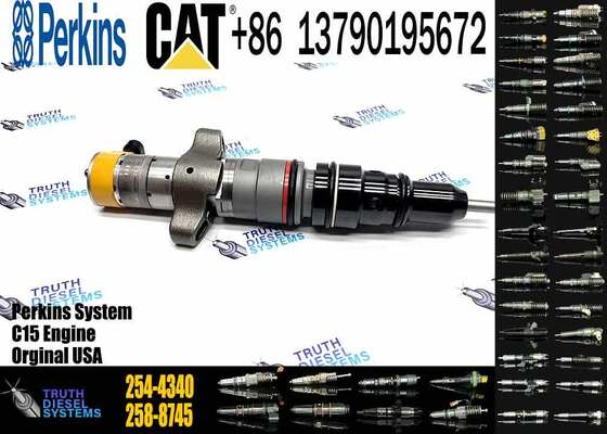 E324D E325D Excavator Parts D6R C9 Fuel Injector 254-4340 20R-8066