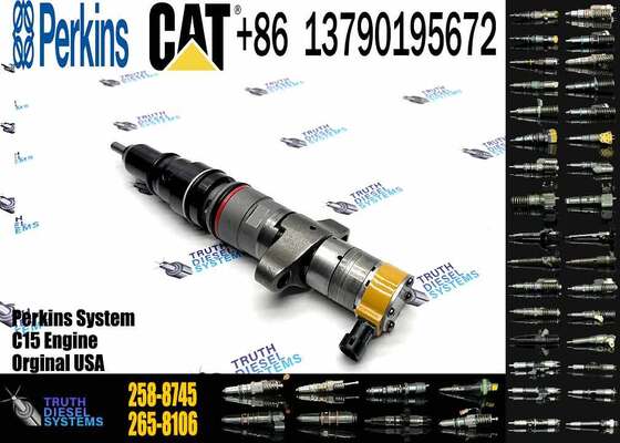 New Common Rail Injector 328-2574 10R-2828 328-2576 10R-4844 258-8745 328-2573 for diesel Engine CAT