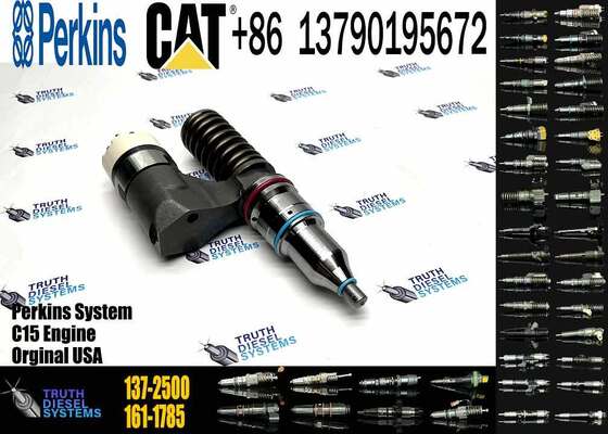 Fuel Injector 317-5278 223-5328 212-3468 170-5252 137-2500 for CAT C10 C12 Diesel Engine Spare Parts Construction Machinery